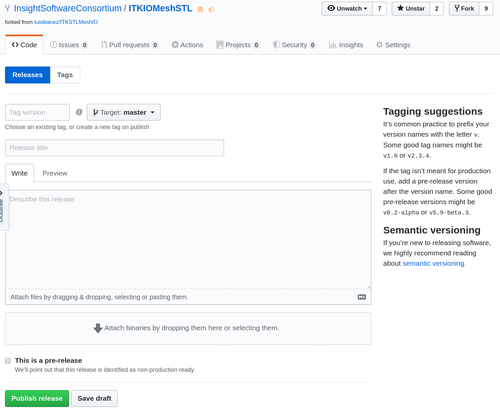 GitHub Release Tag